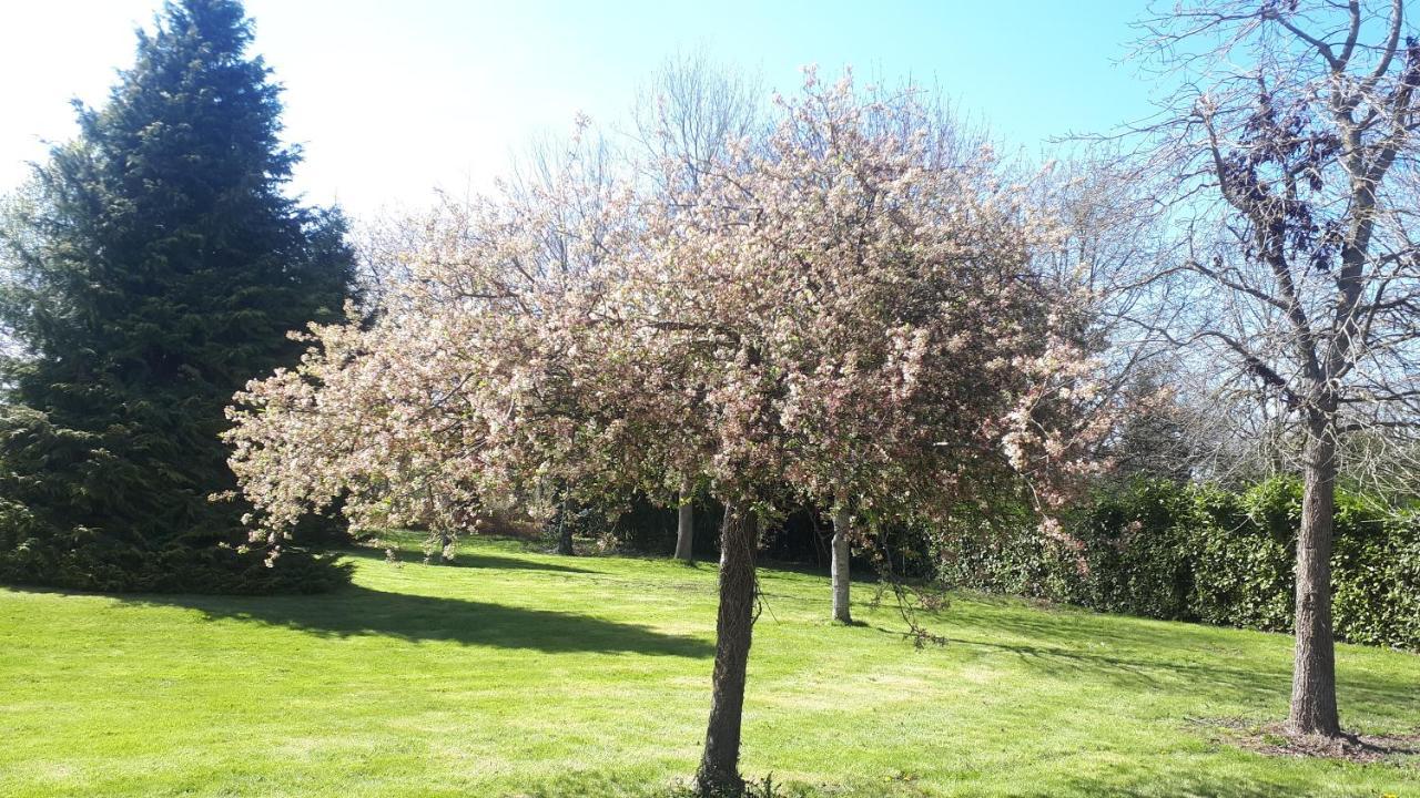 Gite De Bon Air Sens-de-Bretagne Kültér fotó